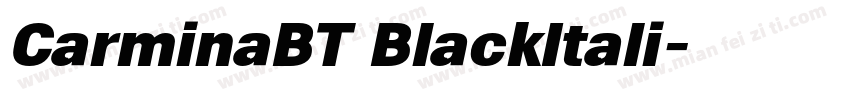 CarminaBT BlackItali字体转换
